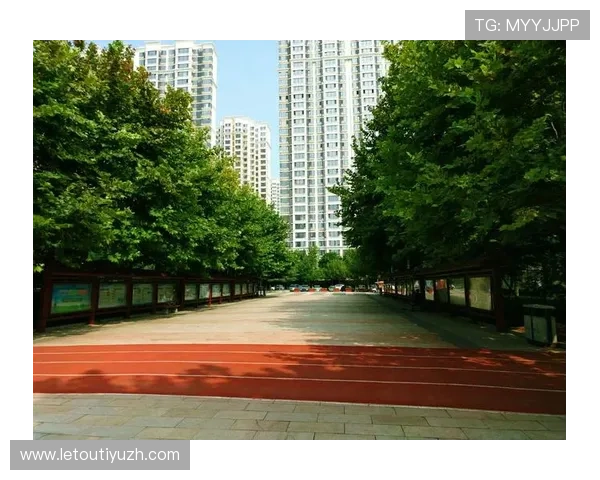 乐天体育登录遇到问题怎么办快速解决登录难题的实用技巧