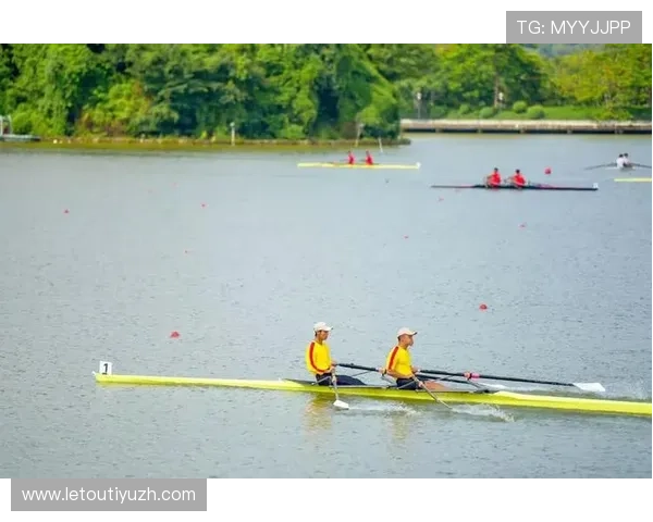 乐竞体育app官网用户评价与反馈，了解乐竞体育app官网的真实使用体验与改进建议