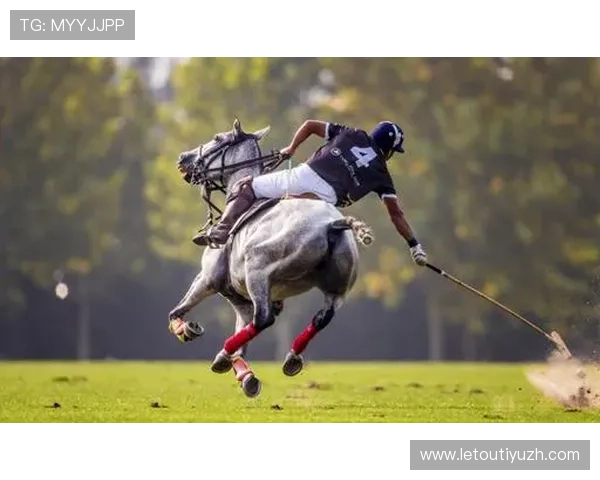 乐竞体育app界面设计人性化,操作简便让体育迷轻松畅享精彩赛事内容 乐竞体育app界面设计人性化,操作简便让体育迷轻松畅享精彩赛事内容