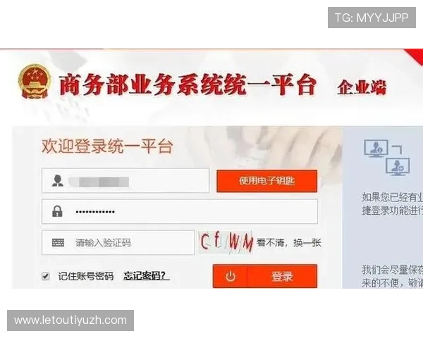 7m体育登录会员登录入口全面指南帮助用户顺利进入账号安全保障
