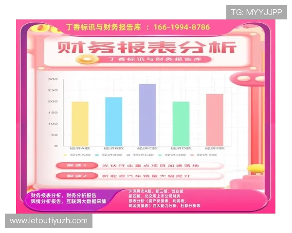 乐华娱乐年度财务报告中的财务指标变化，帮助投资者评估公司成长性与风险